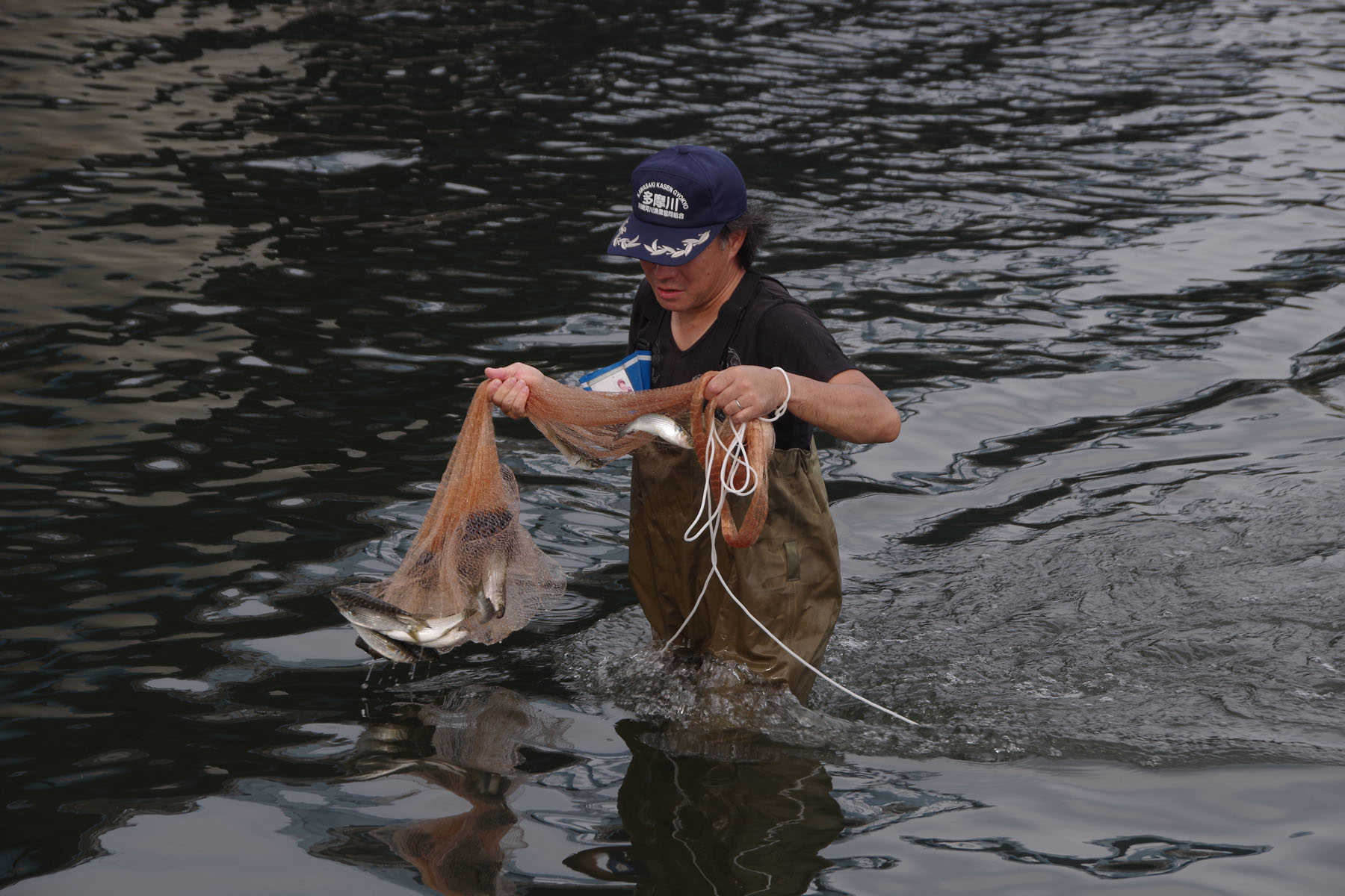 『丸子の渡しまつり』『多摩川で和むe（イー）体験』