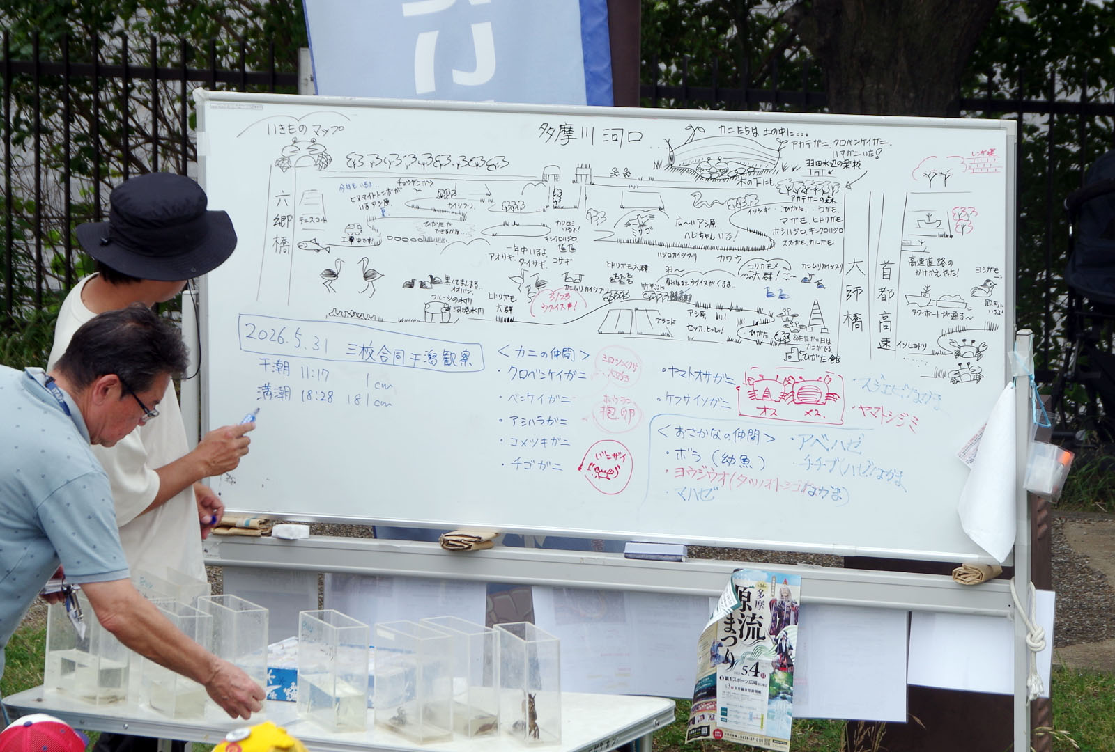 干潟観察会 class=