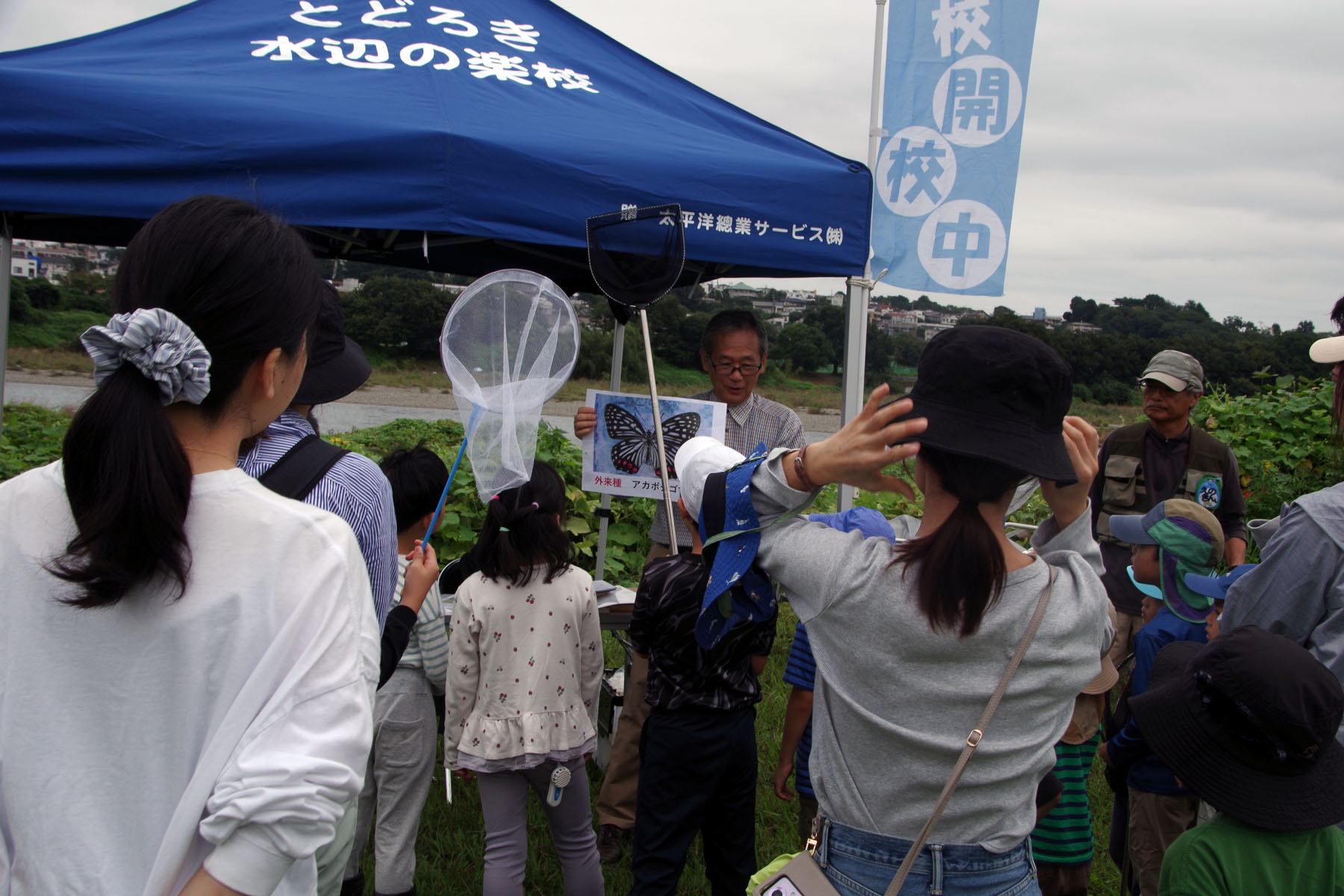『昆虫観察会』