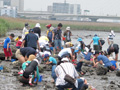 2011年6月5日　河口干潟観察会の様子へ