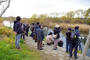 『野鳥観察