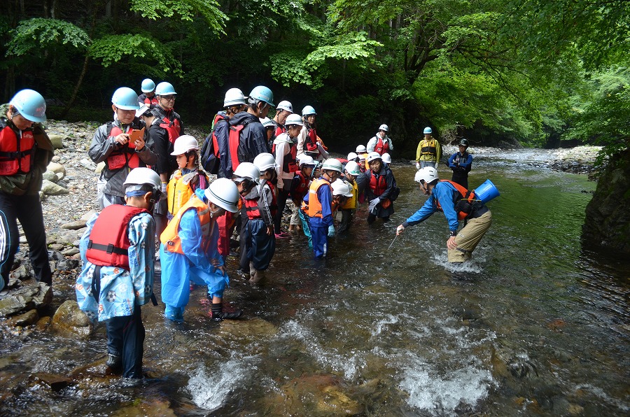 渓流登りと川遊び