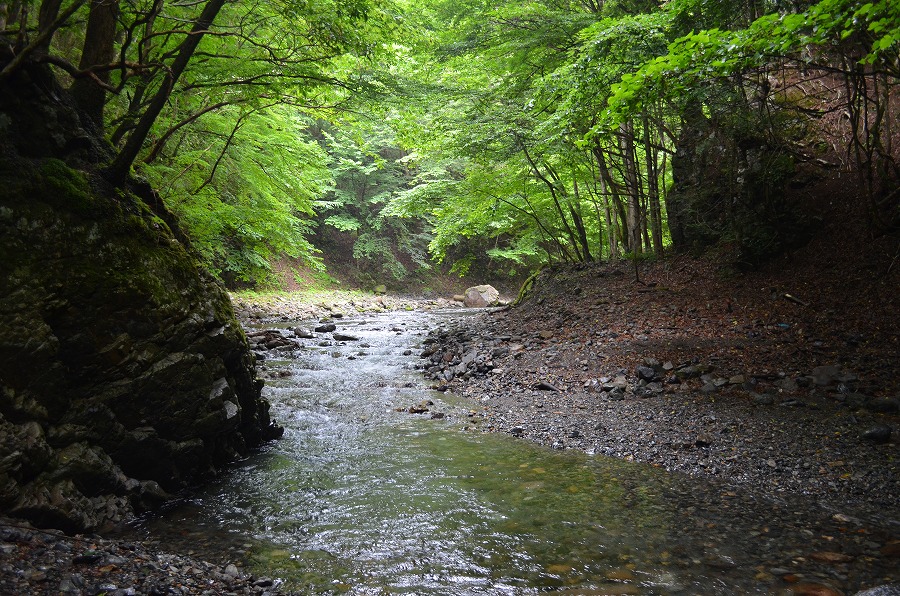 渓流登りと川遊び