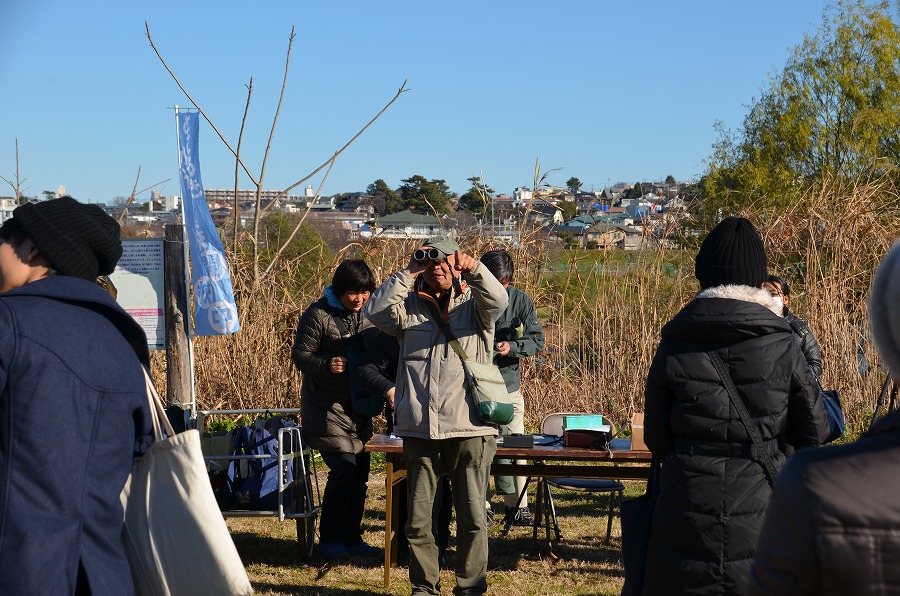 野鳥観察