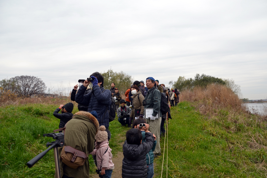 野鳥観察