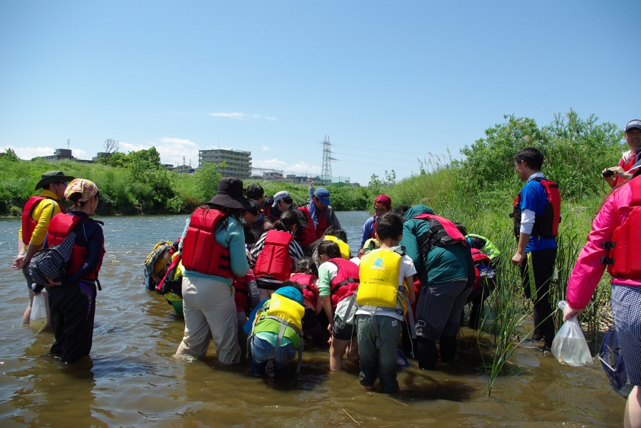 とどろき水辺の楽校 開校