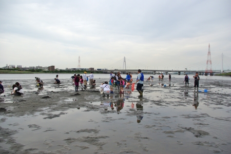 河口干潟観察会