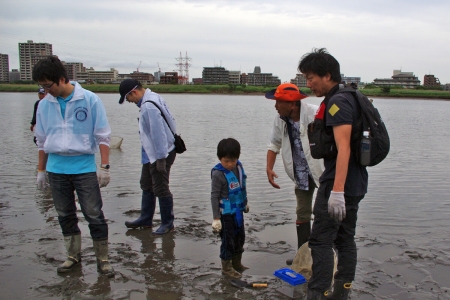 河口干潟観察会