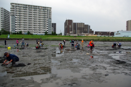 河口干潟観察会