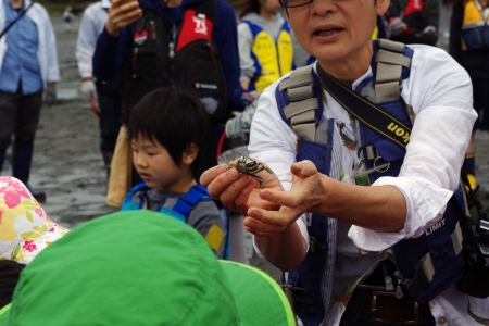 河口干潟観察会