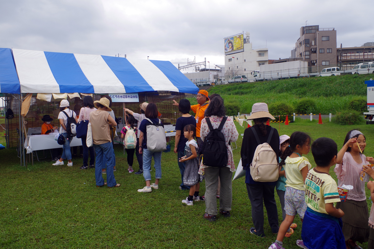 夏休み多摩川教室 草木染