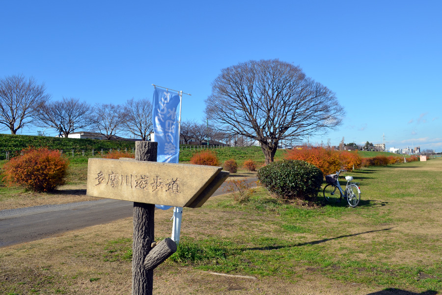 野鳥観察会