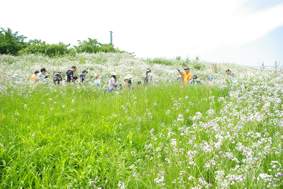 とどろき水辺の楽校開校式