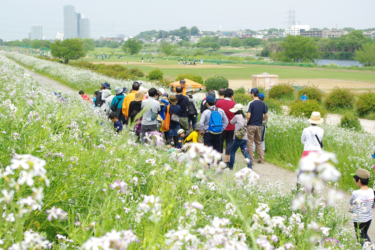 とどろき水辺の楽校開校式