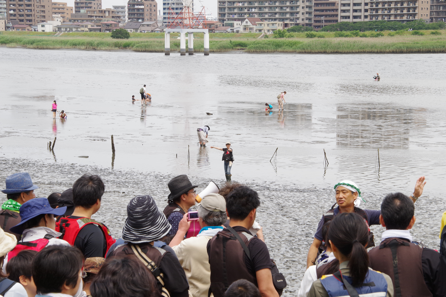 河口干潟観察会