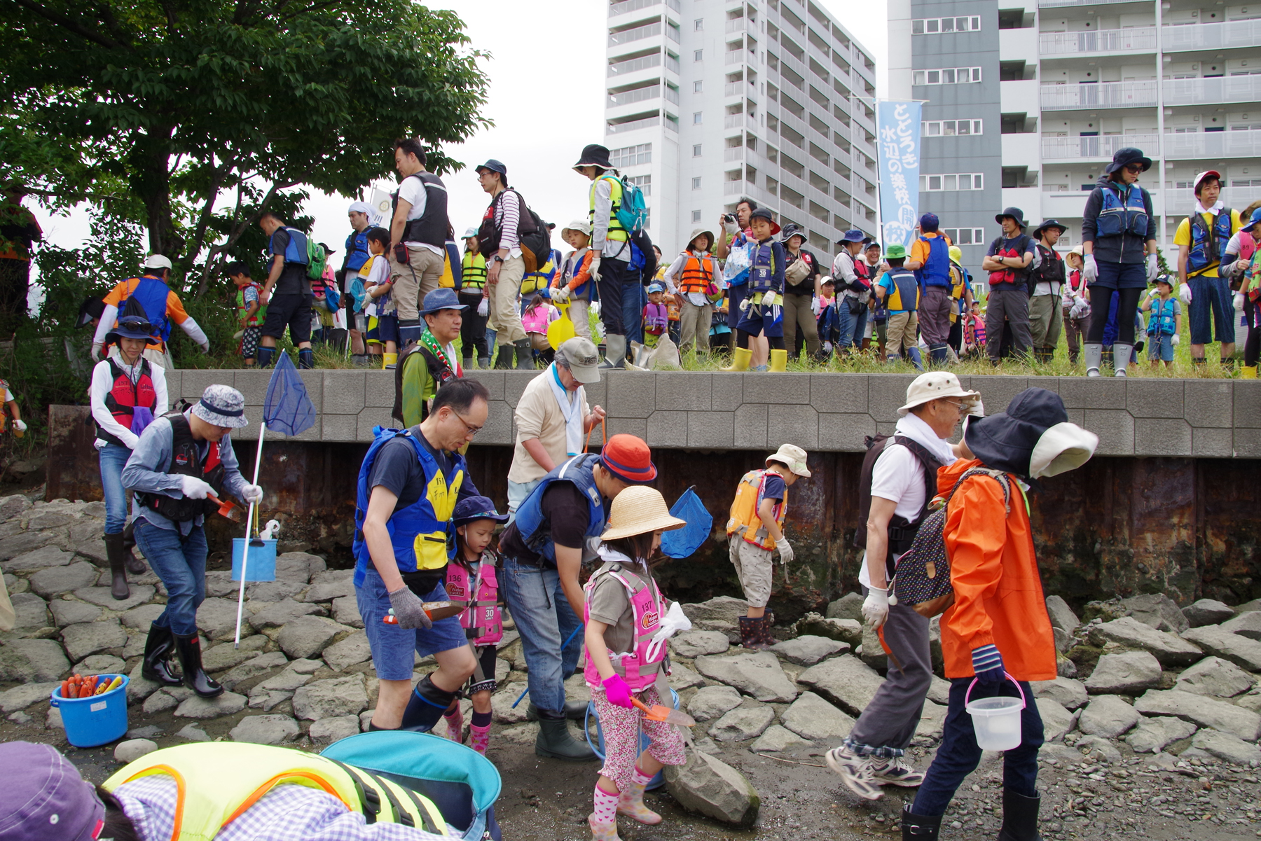 河口干潟観察会