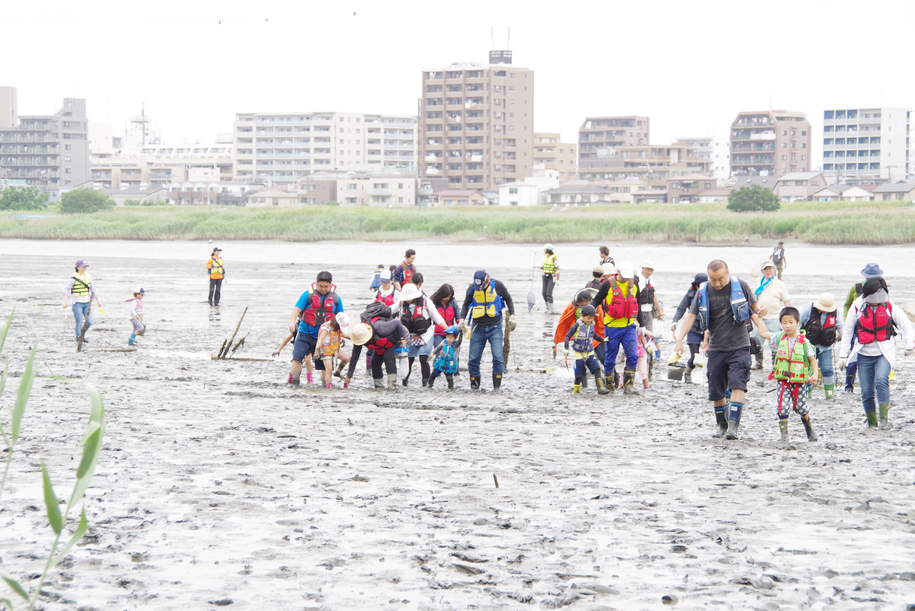 河口干潟観察会