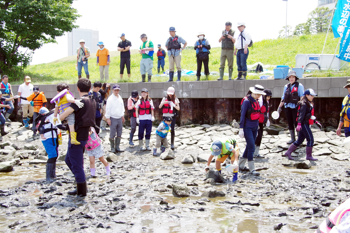 ３校合同 河口干潟観察会