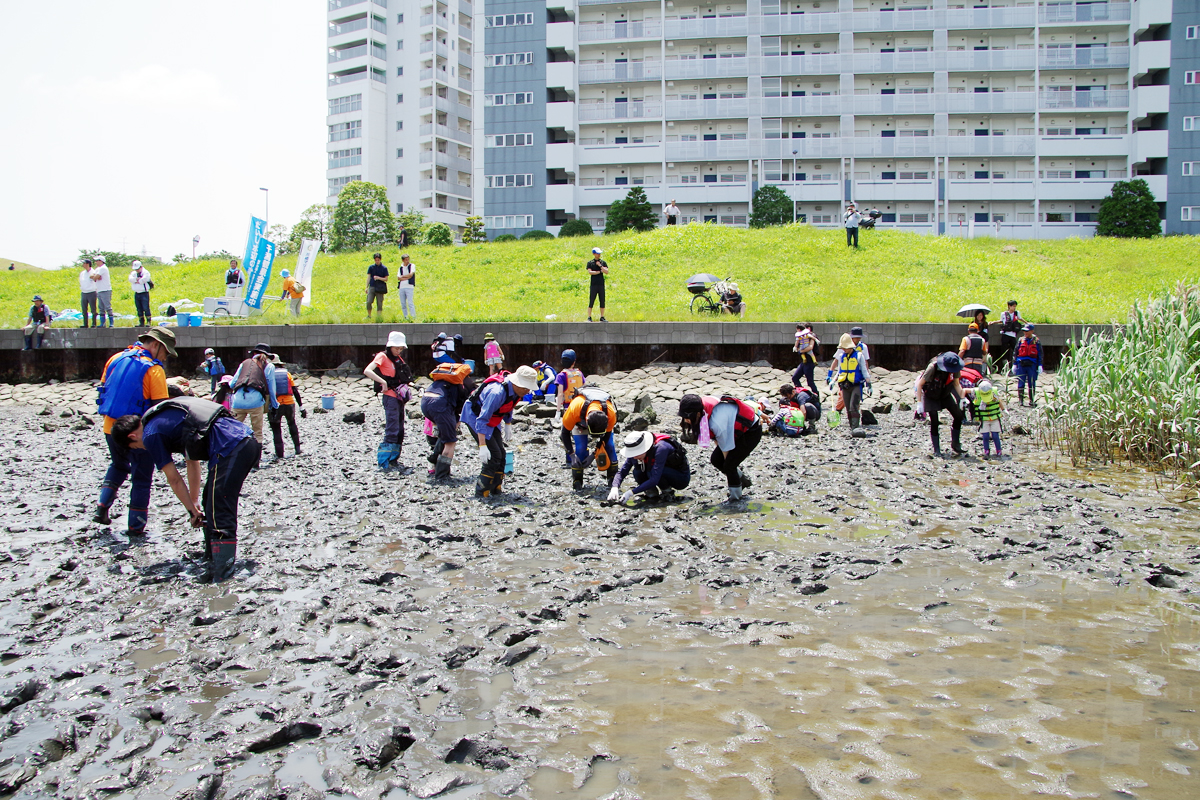 ３校合同 河口干潟観察会