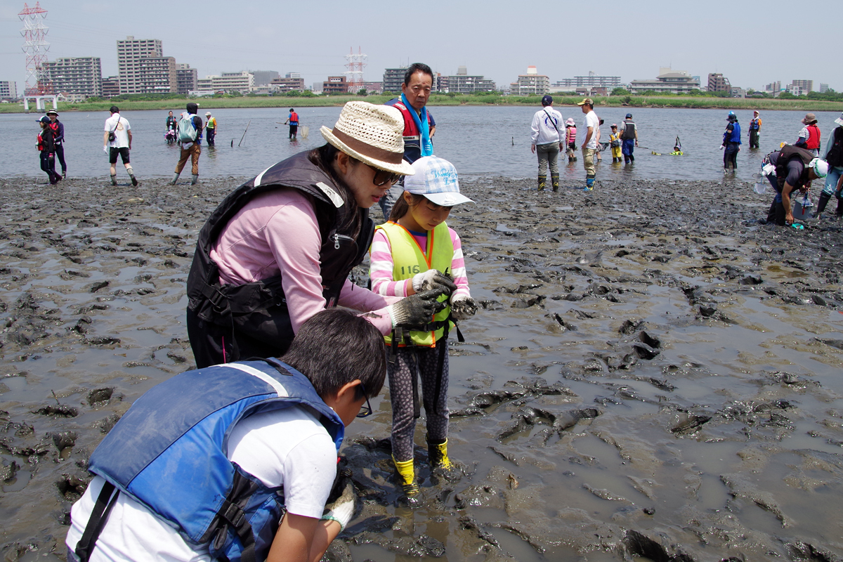 ３校合同 河口干潟観察会