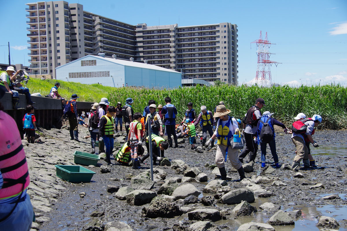 ３校合同 河口干潟観察会