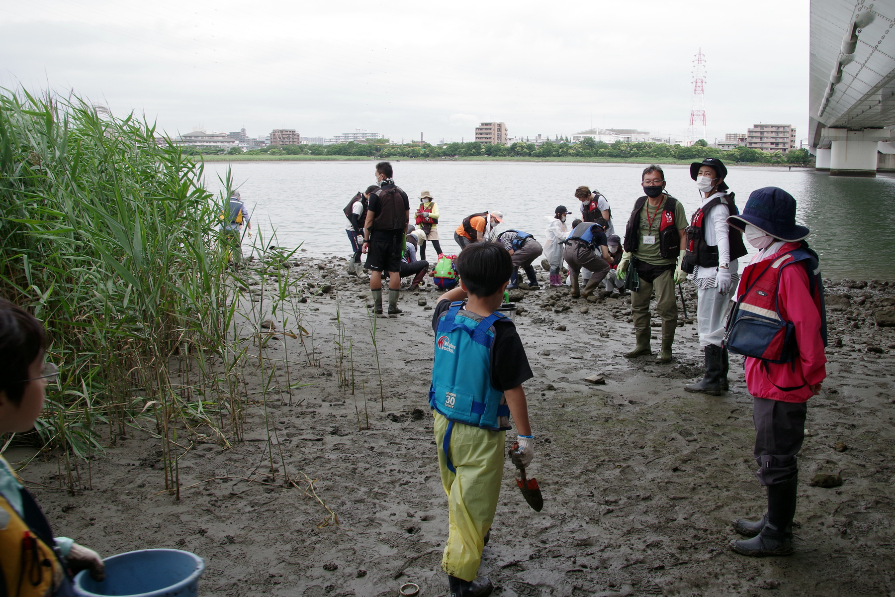 河口干潟観察会