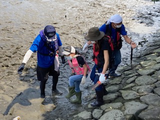 と河口干潟観察会