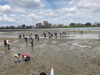 と河口干潟観察会