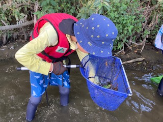 川の生き物観察会（ガサガサ）