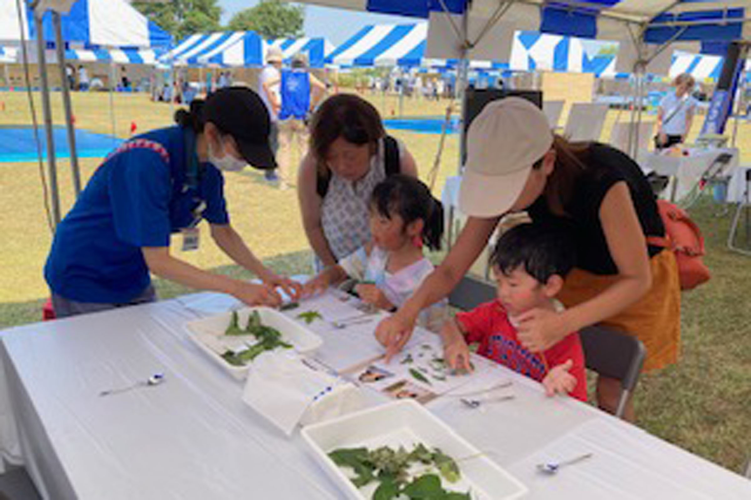 夏休み多摩川教室 