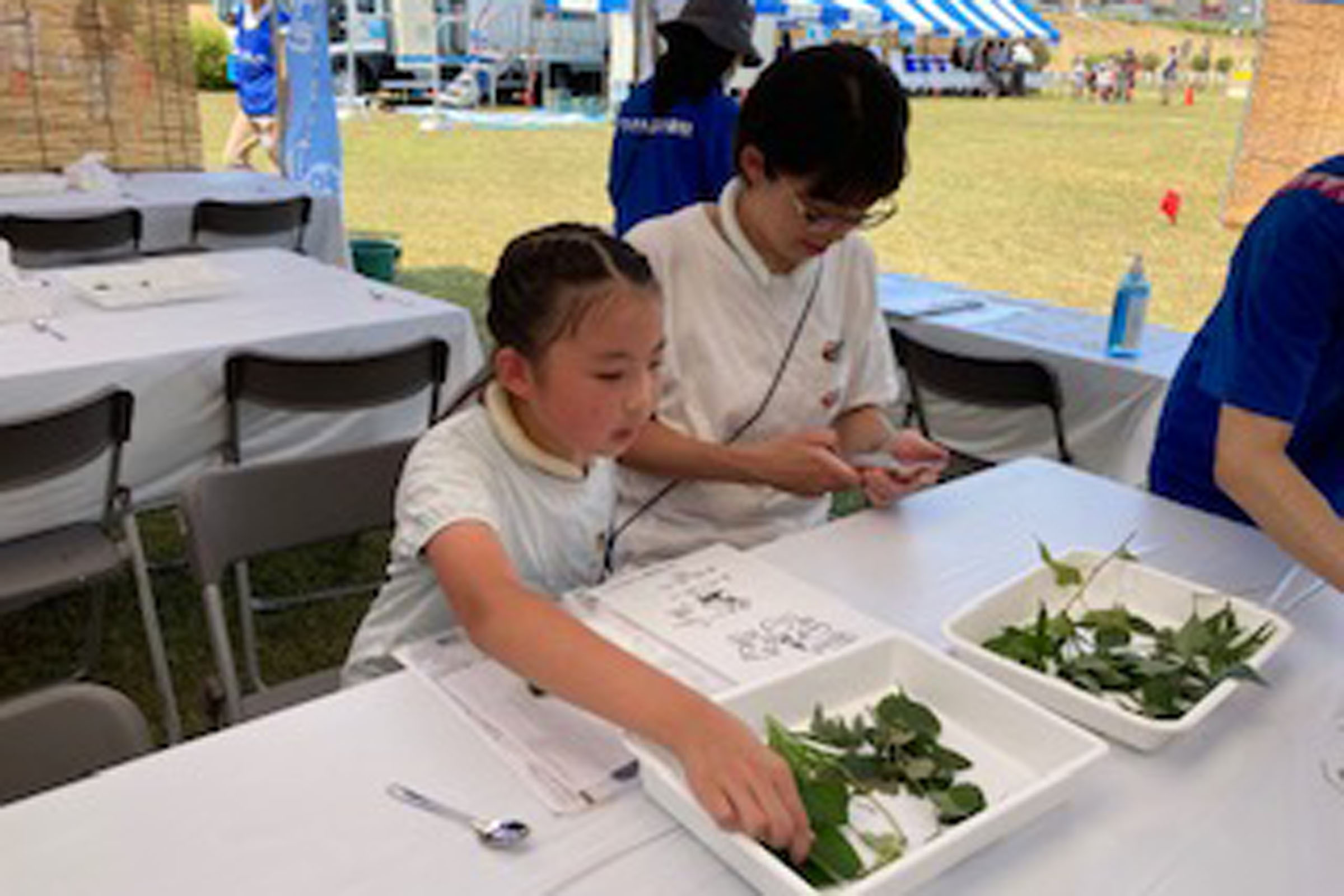 夏休み多摩川教室 