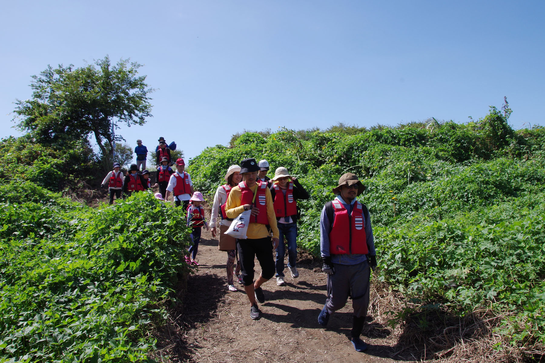 『川の生きもの観察会(ガサガサ)』
