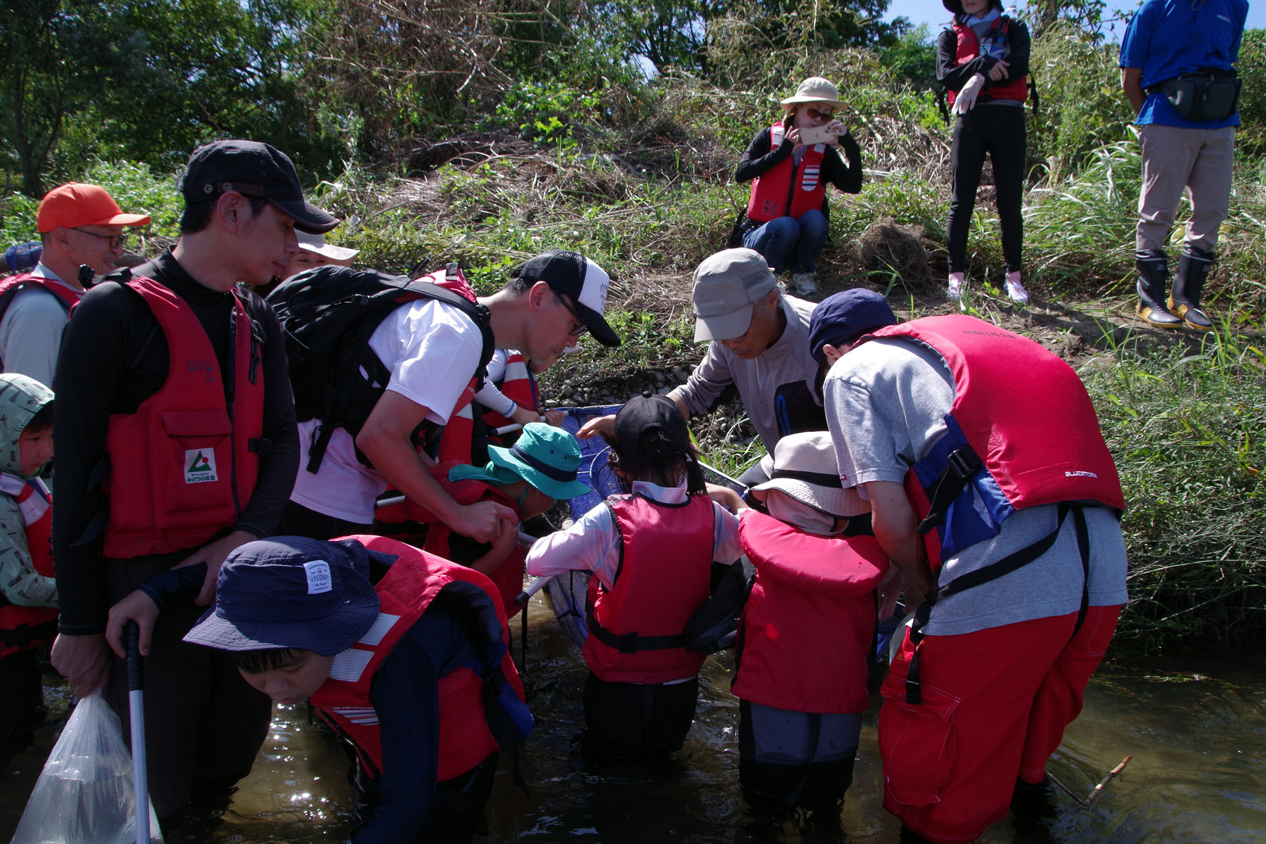 『川の生きもの観察会(ガサガサ)』