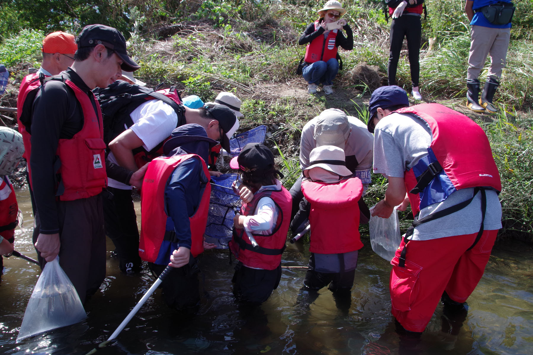 『川の生きもの観察会(ガサガサ)』