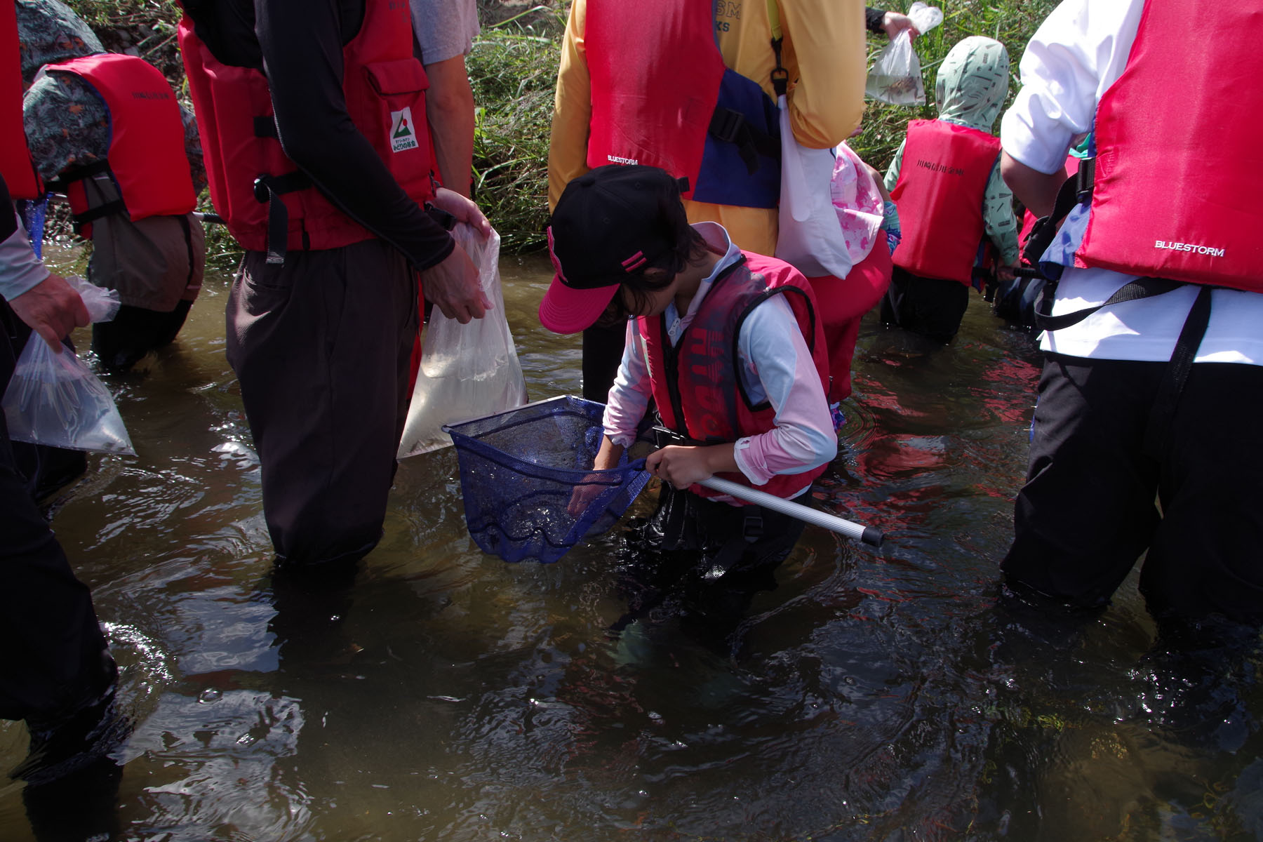 『川の生きもの観察会(ガサガサ)』