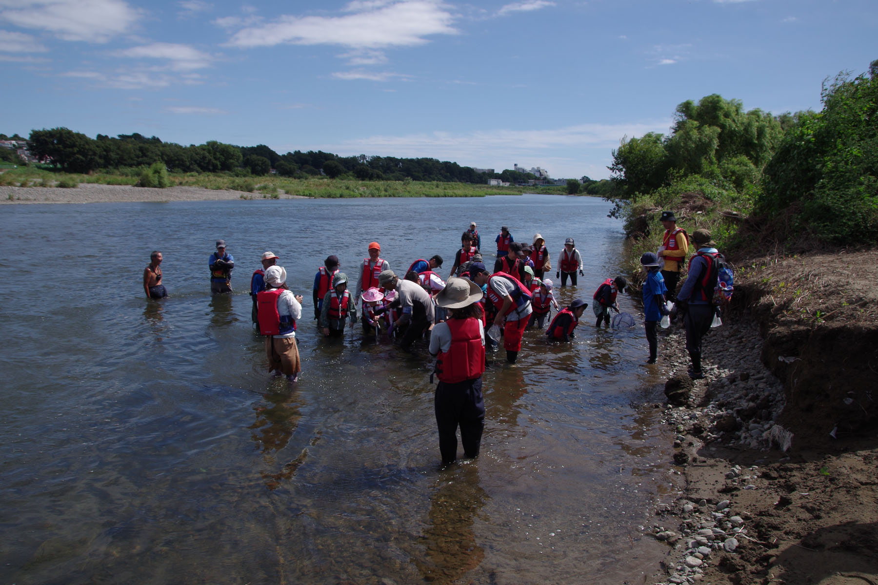 『川の生きもの観察会(ガサガサ)』