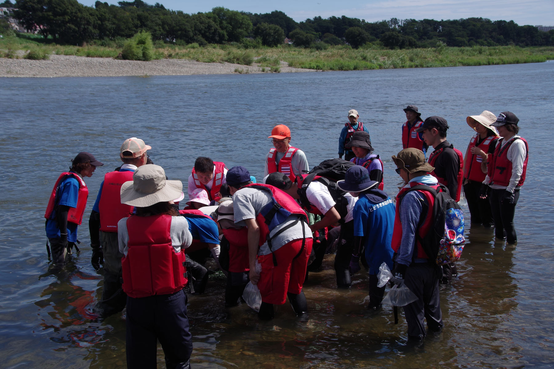 『川の生きもの観察会(ガサガサ)』