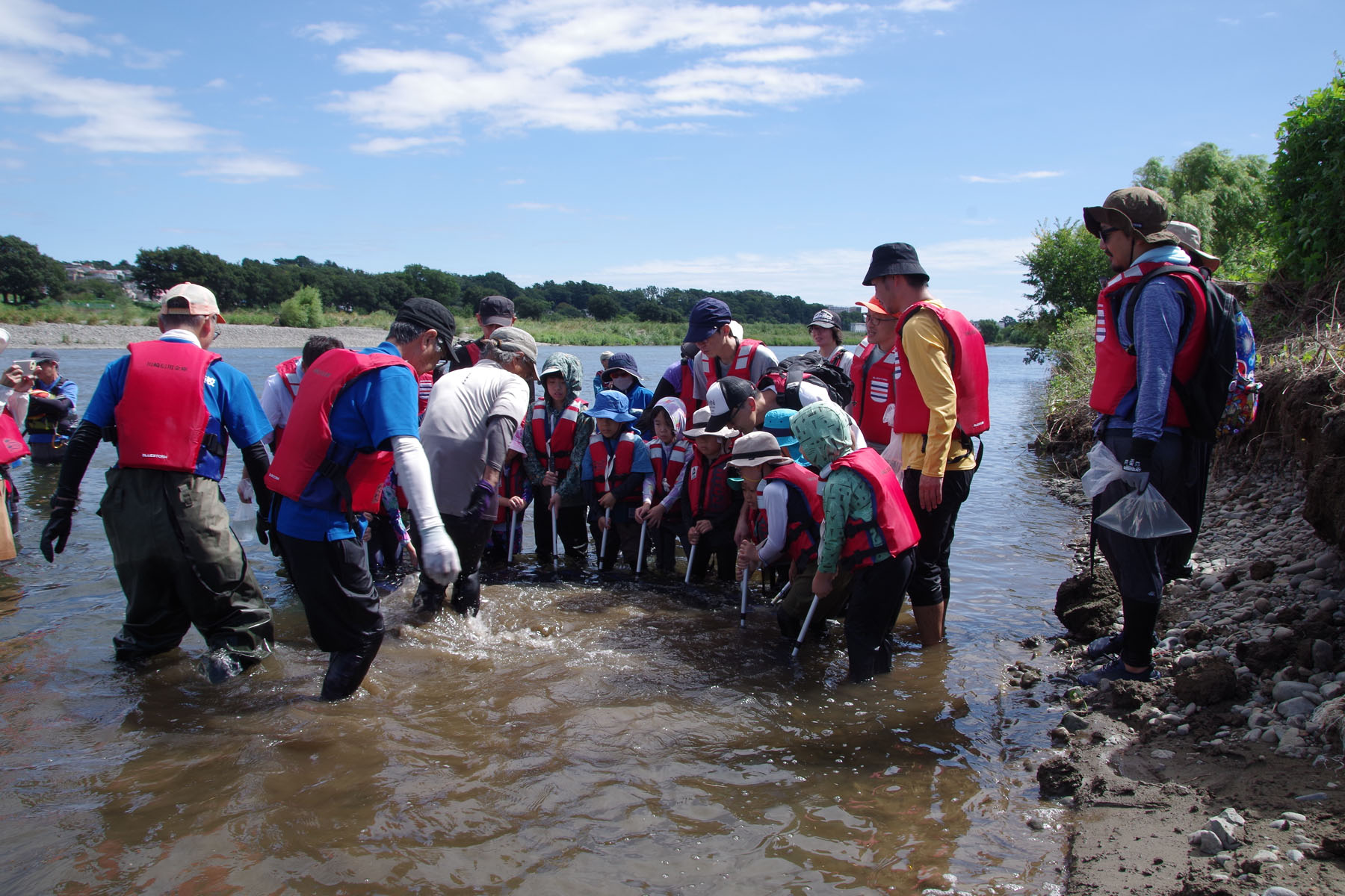 『川の生きもの観察会(ガサガサ)』