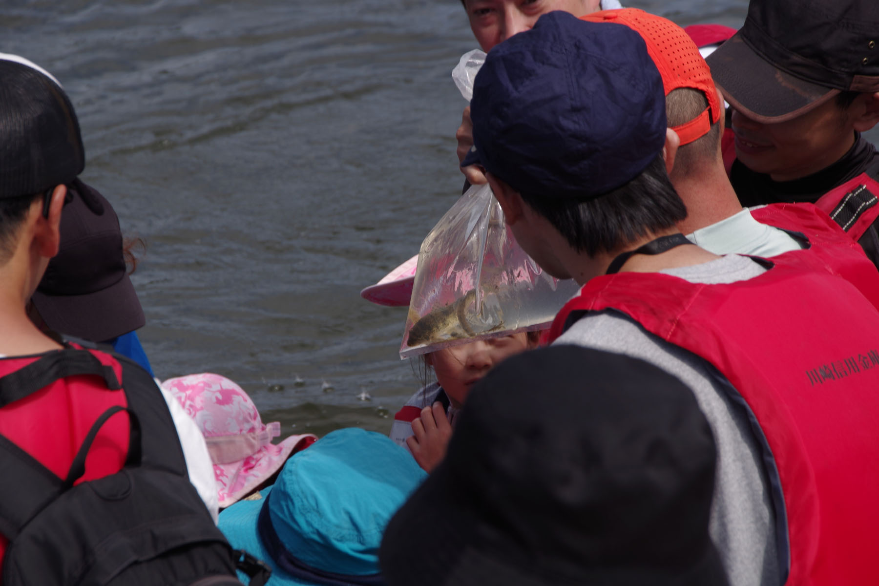 『川の生きもの観察会(ガサガサ)』
