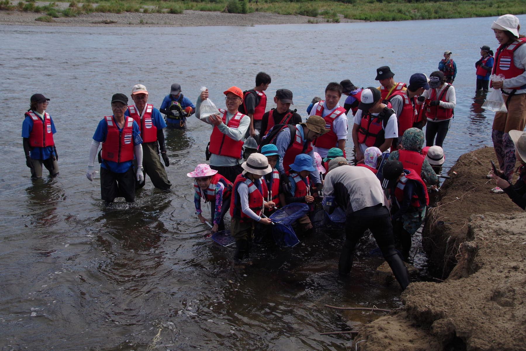 『川の生きもの観察会(ガサガサ)』