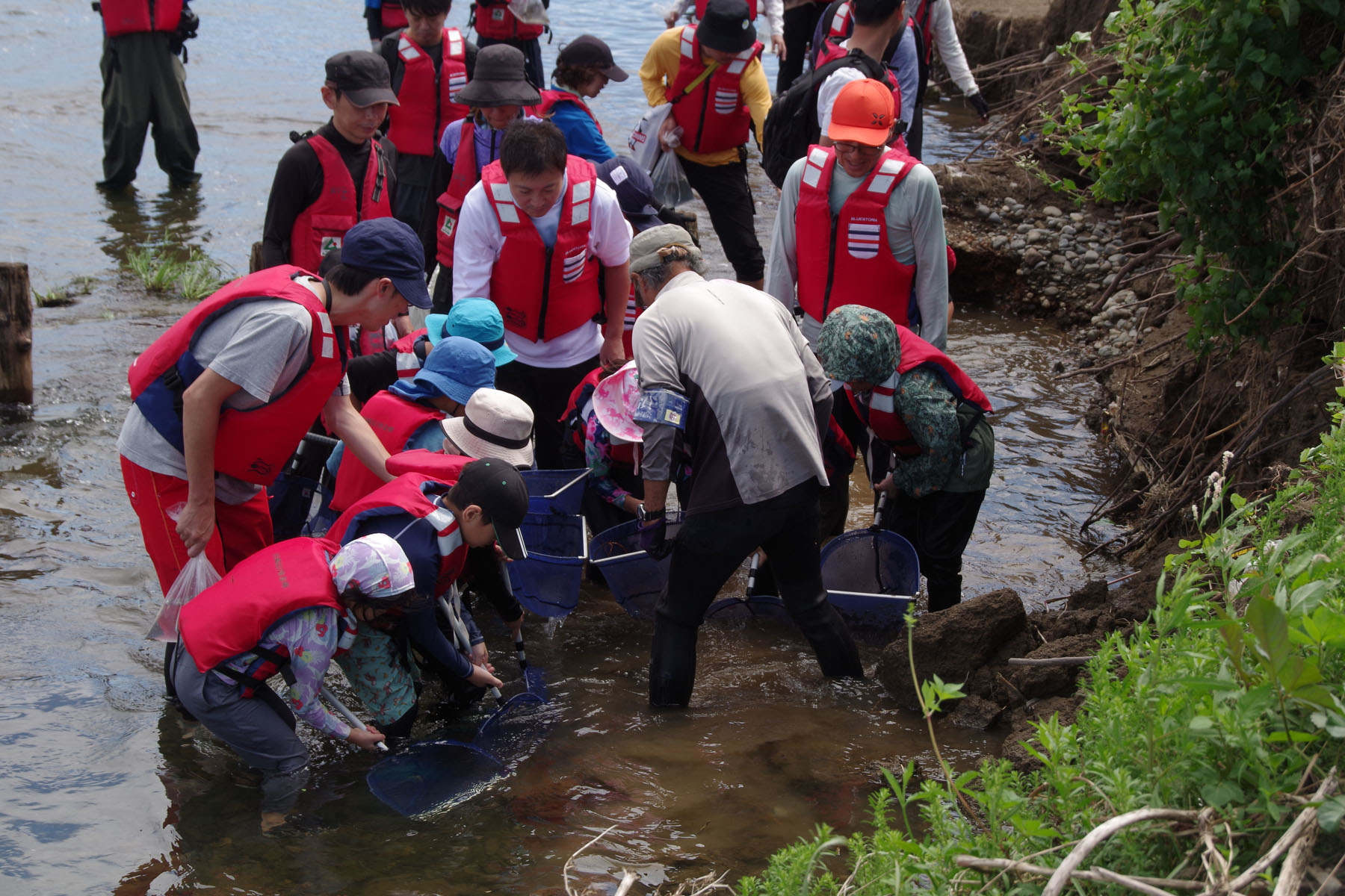 『川の生きもの観察会(ガサガサ)』