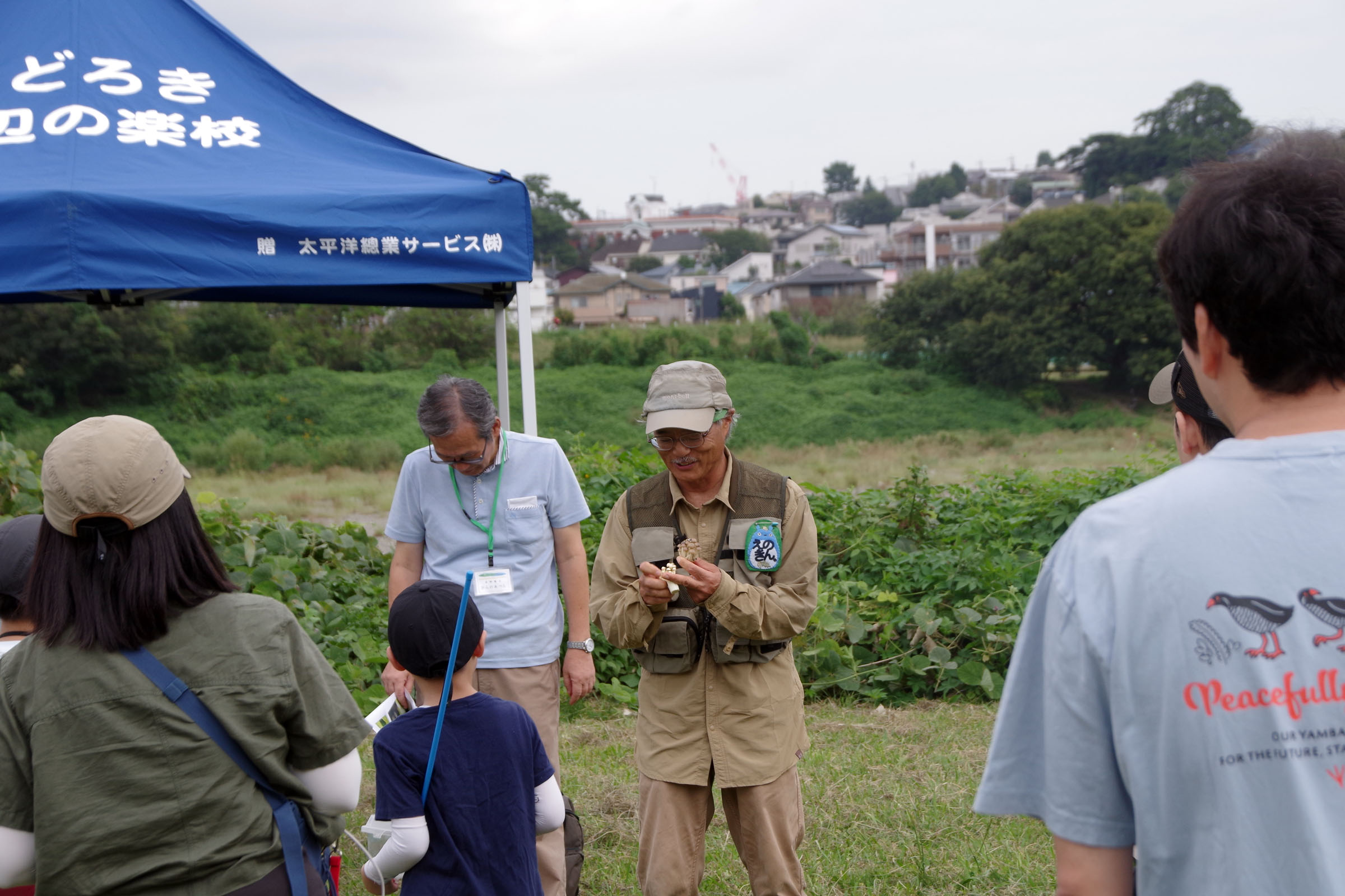 『昆虫観察会』