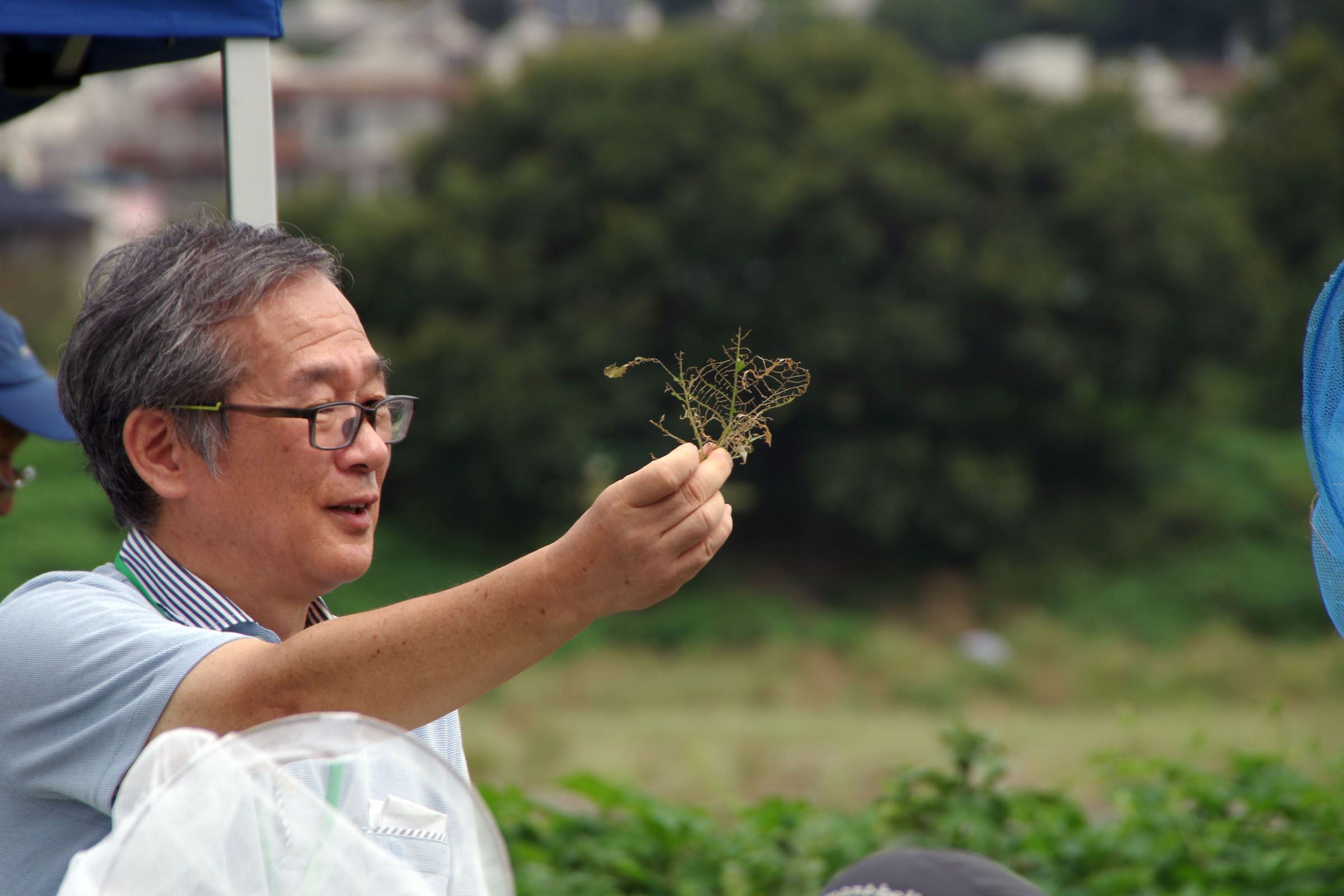 『昆虫観察会』