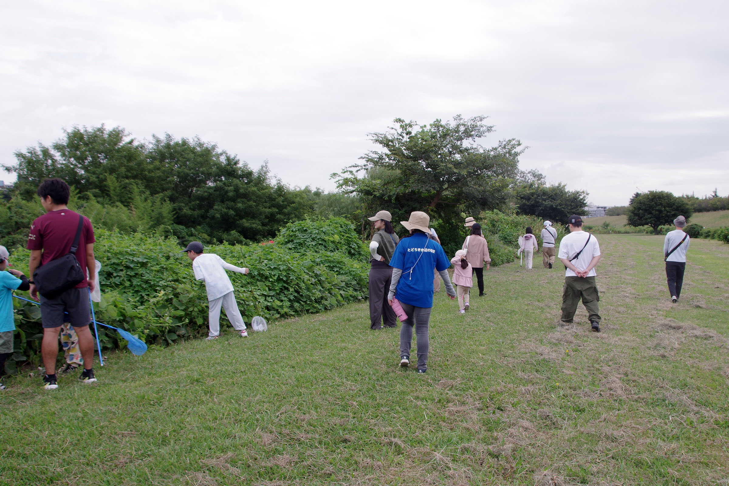 『昆虫観察会』