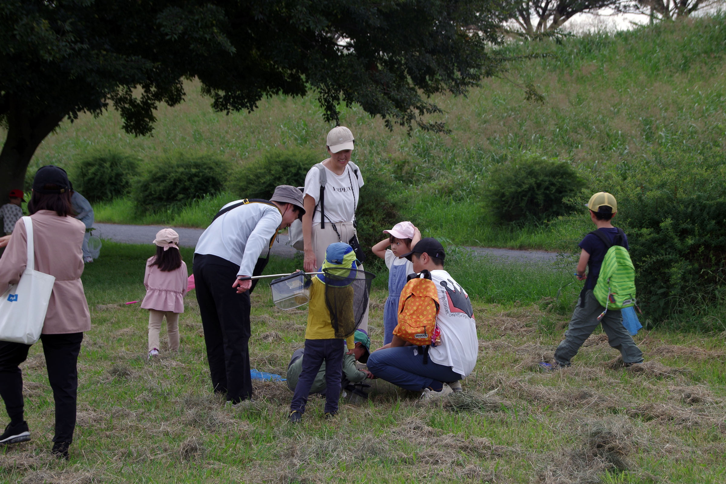 『昆虫観察会』