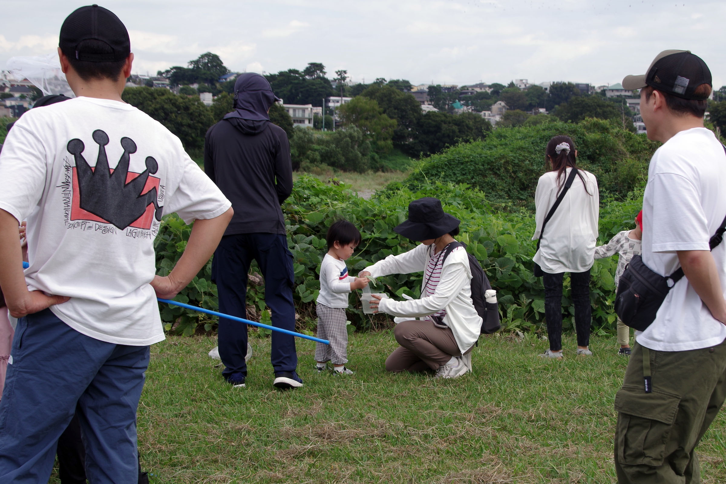 『昆虫観察会』