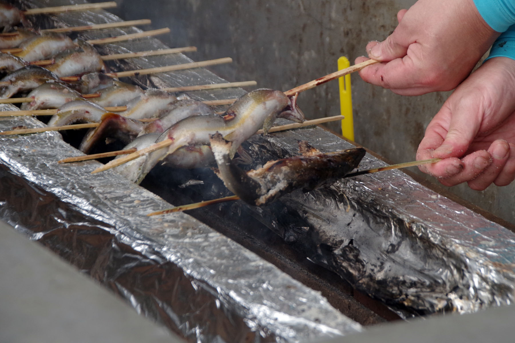 『丸子の渡しまつり』『多摩川で和むe（イー）体験』