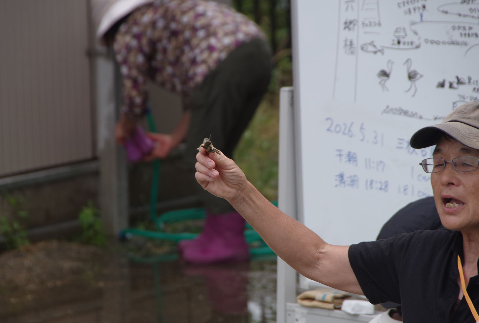 干潟観察会  class=