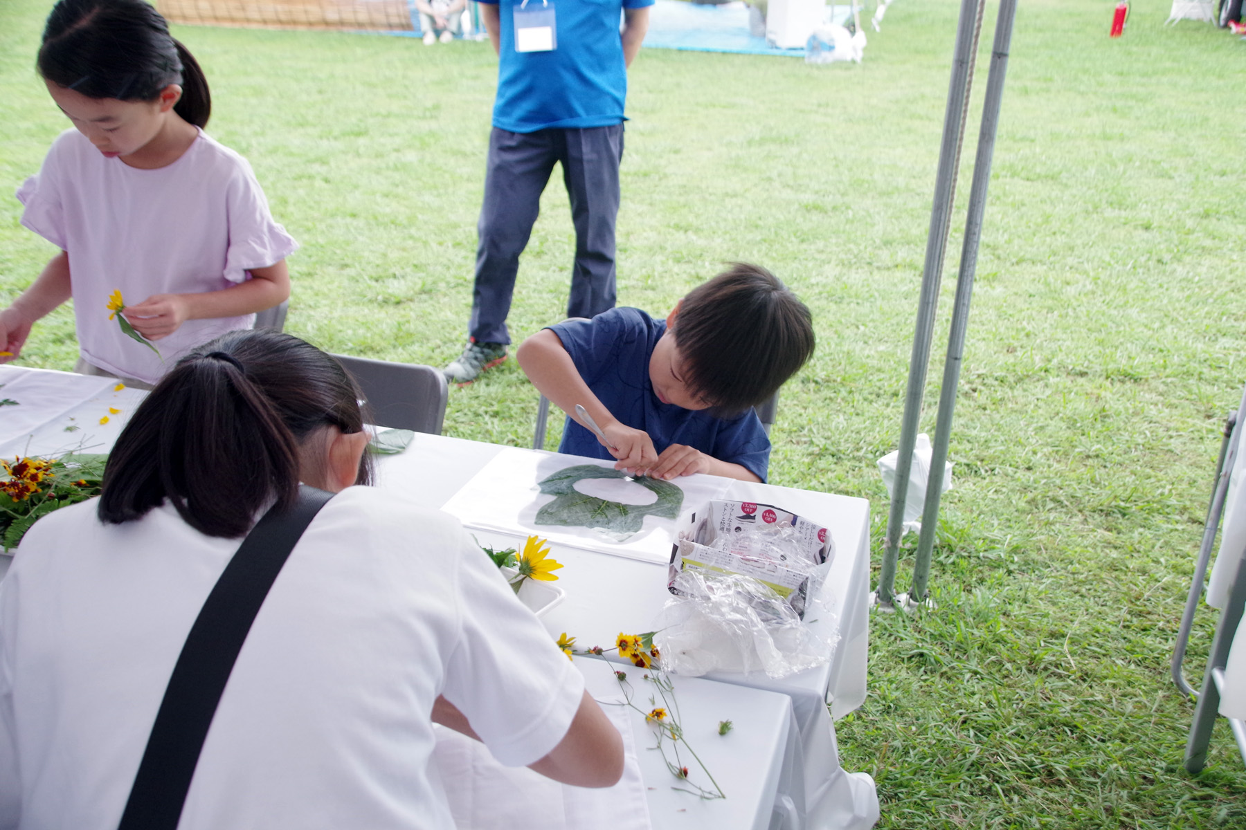 夏休み 多摩川教室 草木染